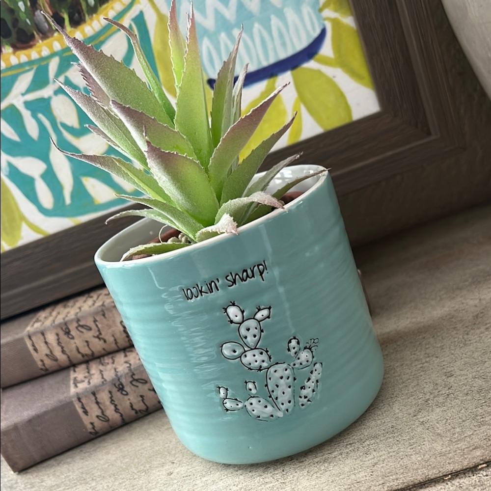 Lookin' Sharp Boho Cactus Succulent Planter